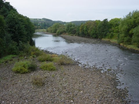The river