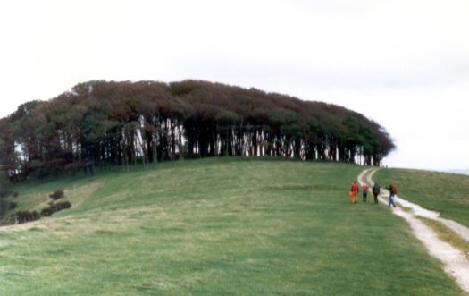Approaching Chanctonbury Ring.