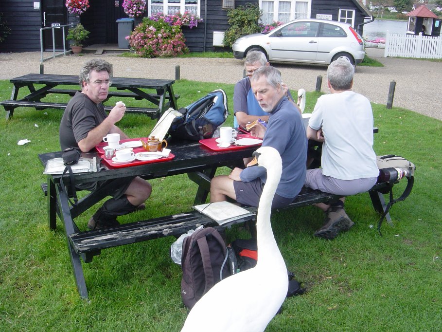Dave's continued affinity with the wild life. Another time it was sheep!